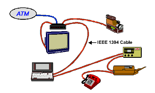 Ieee Cable