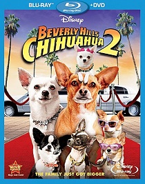 movie-february-2011-bevery-hills-chihuahua-2