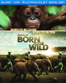 movie-april-2012-imax-born-to-be-wild