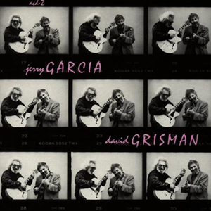 A Collection of New Vinyl for the Audiophile - June, 2014 - Jerry Garcia and David Grisman