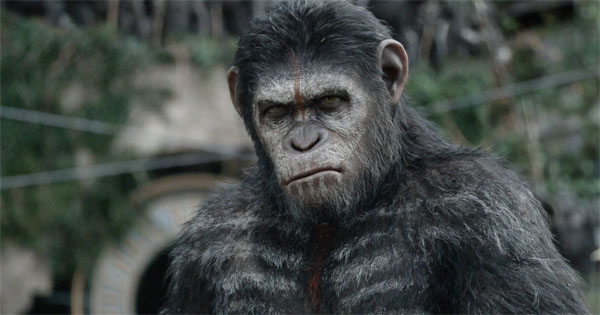 movie-2014-december-apes1