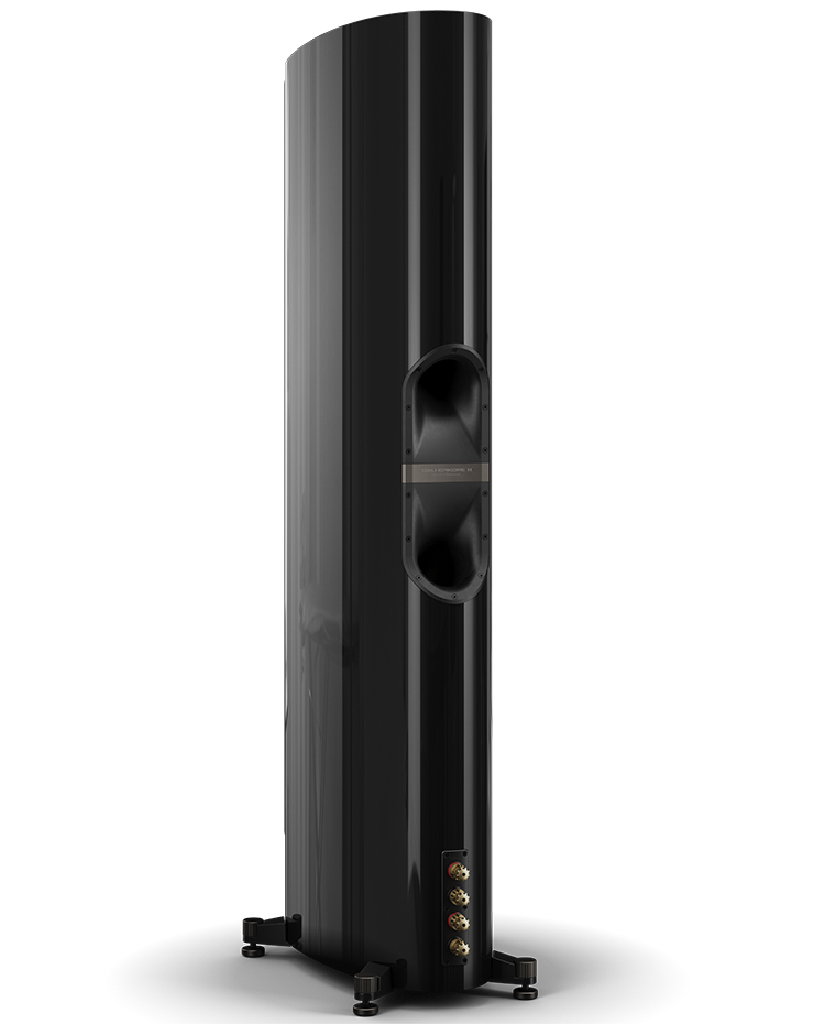 DALI EPIKORE 11 Loudspeaker (Black High Gloss) Rear View