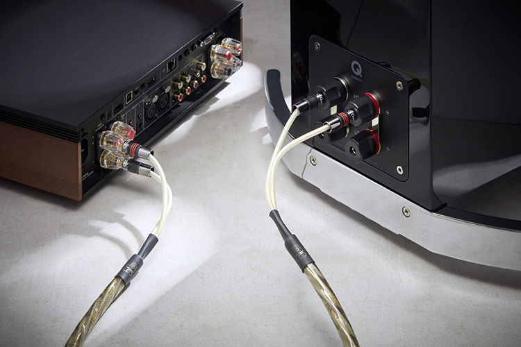 Close-up photograph perspective of the QED Golden Anniversary XT speaker cables plugged in into the back inputs view of a Q Acoustics speaker product model and Cambridge Audio amplifier product model