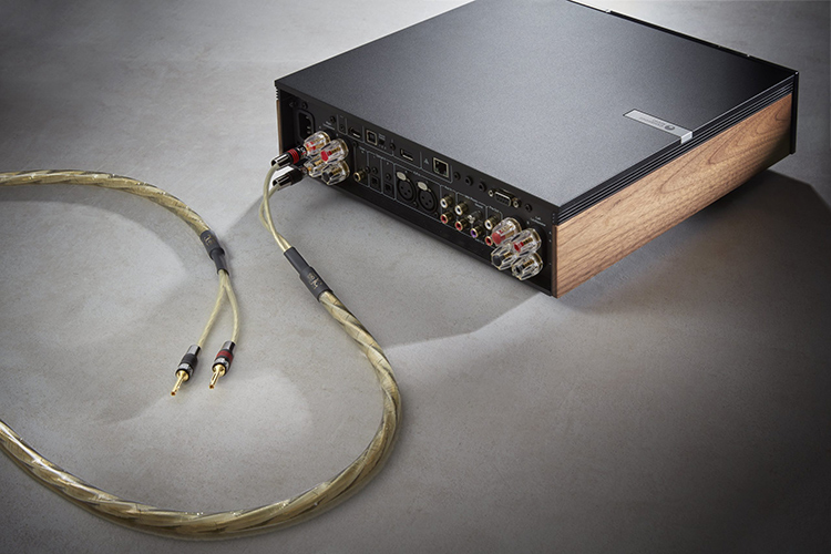 Close-up photograph perspective of the QED Golden Anniversary XT speaker cables plugged in into the back inputs view of a Cambridge Audio amplifier product model