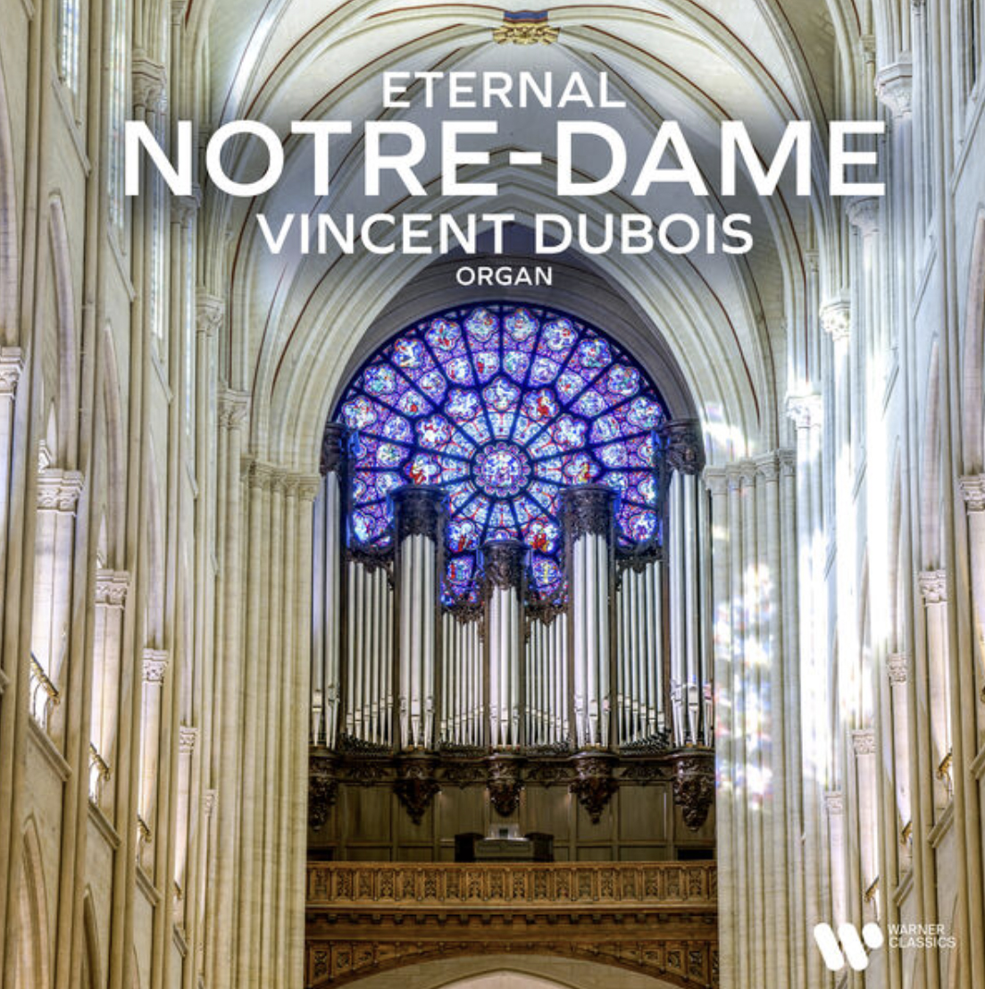 Vincent Dubois