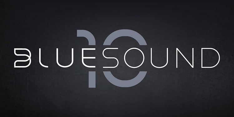 Bluesound 10th Anniversary Logo in grey