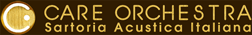 Care Orchestra