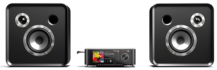 Eversolo SE100 premium passive two-way bookshelf speakers with the Eversolo Play Music Streaming Amplifier