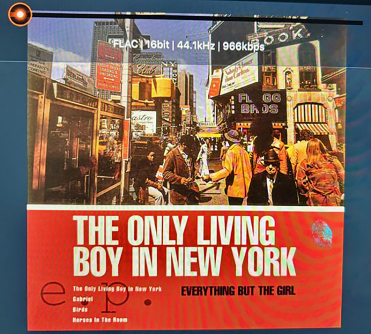 Everything But The Girl