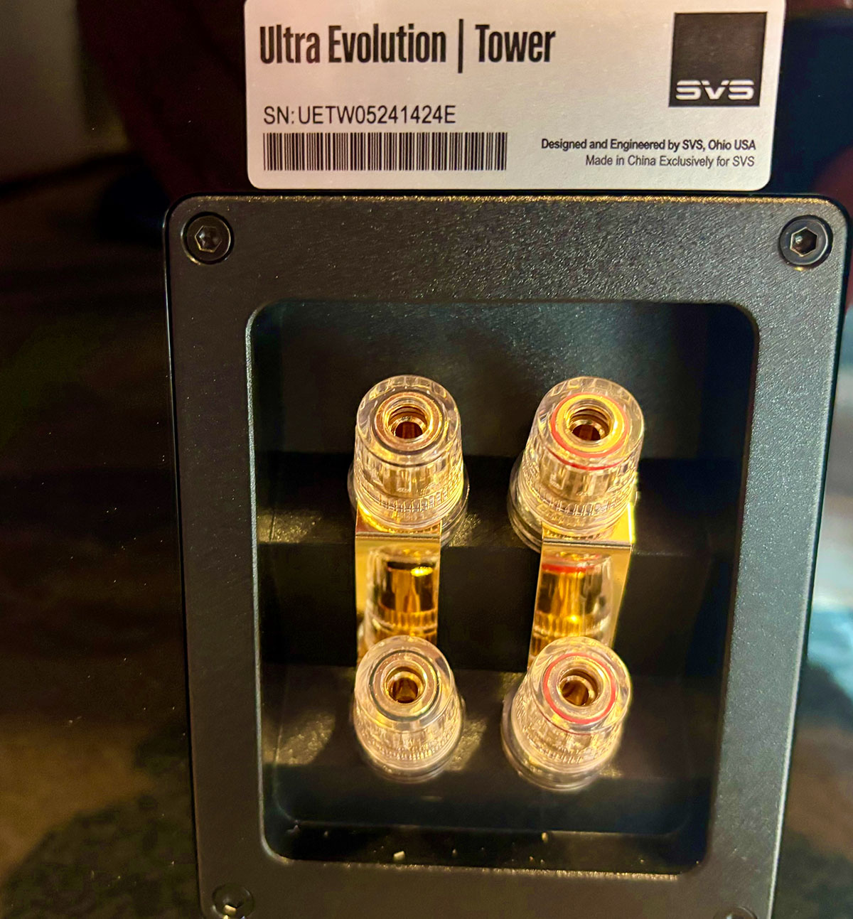 SVS Ultra Evolution Tower Speaker Ports Rear Back Panel View SVS Ultra Evolution Tower Speaker Ports Rear Back Panel View