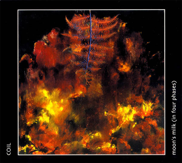 Coil