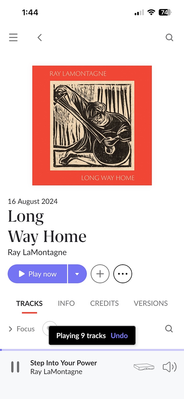 Ray LaMontagne