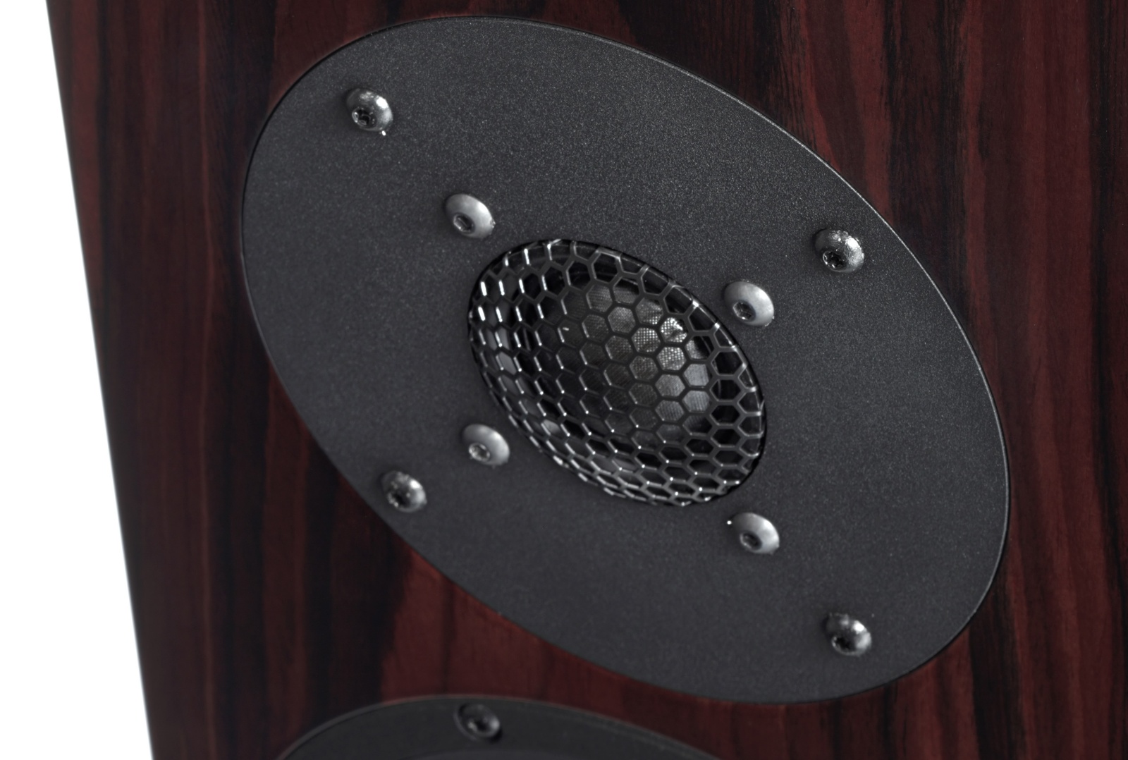 Vienna Acoustics Haydn SE Signature Bookshelf Speaker Tweeter Vienna Acoustics Haydn SE Signature Bookshelf Speaker Tweeter