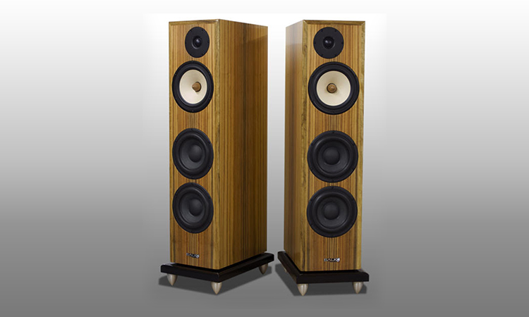 Salk Signature Sound Exotica 3 Floorstanding Speaker Review