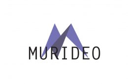 Murideo