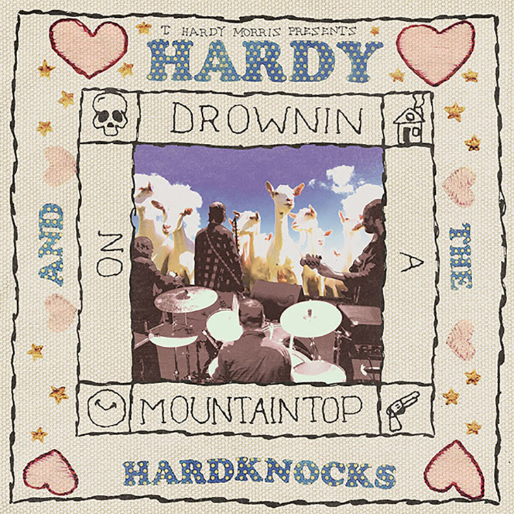 Hardy and the Hardknocks