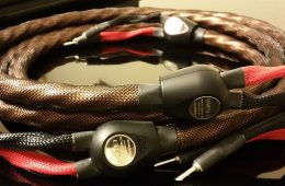 Wireworld Eclipse 7 Speaker Cables Preview