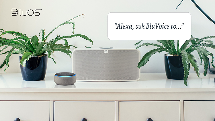 Alexa Voice Control Skills Coming to BluOS 