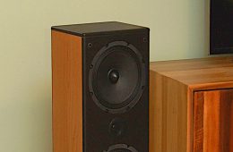 The NSMT Loudspeakers Model 50/Jamaica Active Speaker System