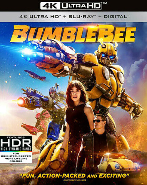 Bumblebee Cover