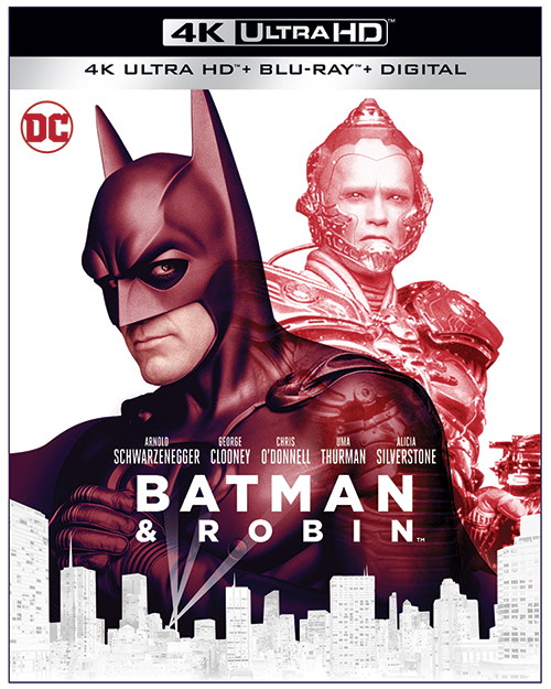 Batman and Robin Cover