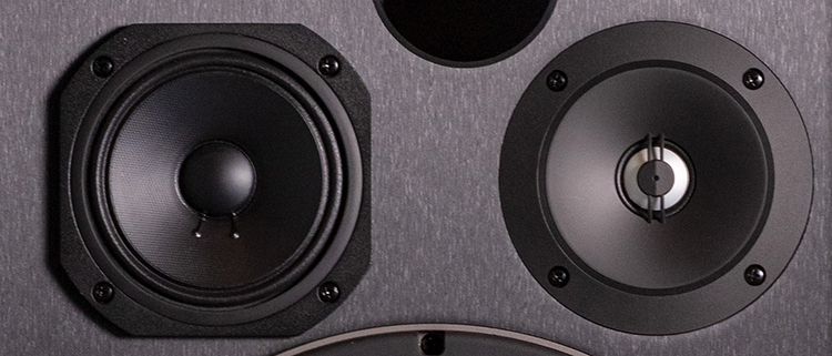 Picking the Right Speakers
