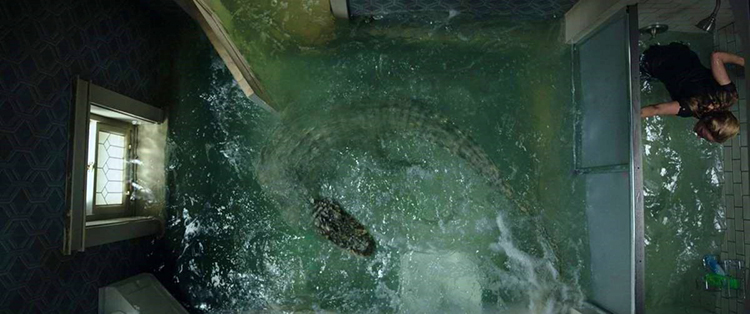 Crawl alligator in bathroom scene