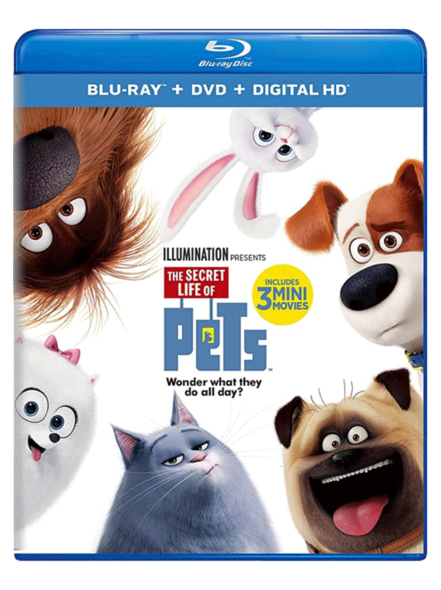 Secret Life of Pets 2 Movie Cover