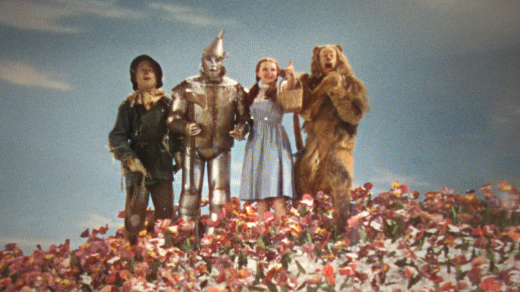 Dorothy and the three