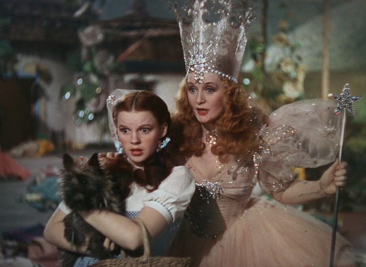 Dorothy and the Good Witch