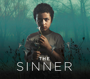 The Sinner season 2 (2018) series cover