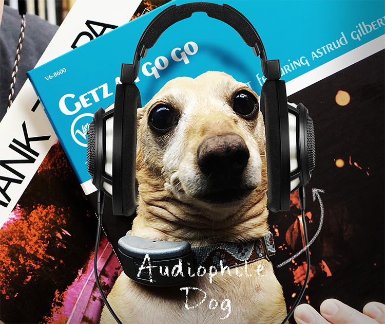 What We Are Listening To! Audiophile Dog