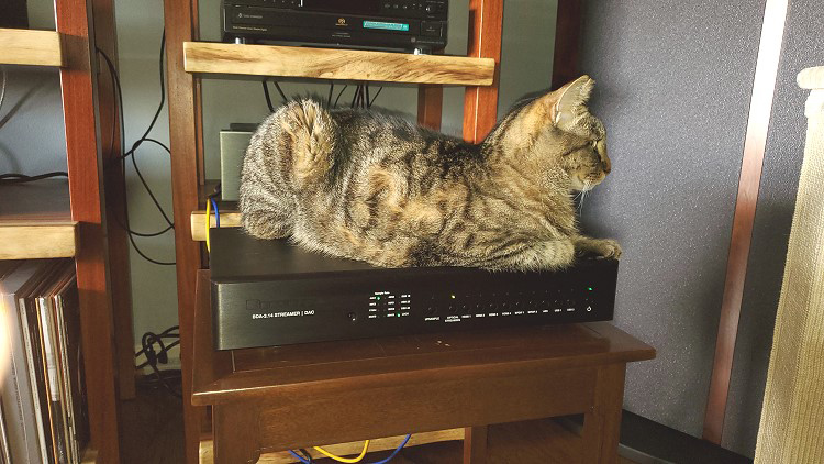 Bryston BDA-3.14 Streaming DAC With Cat