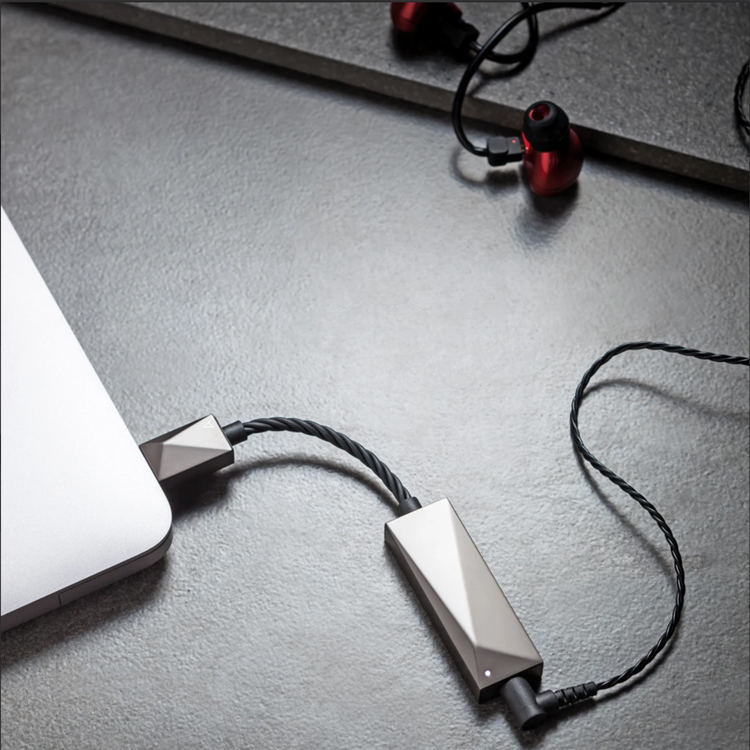 USB-C Dual DAC Cable in use