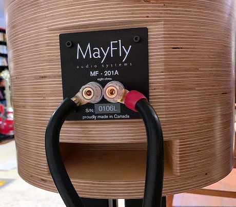 MayFly Connection