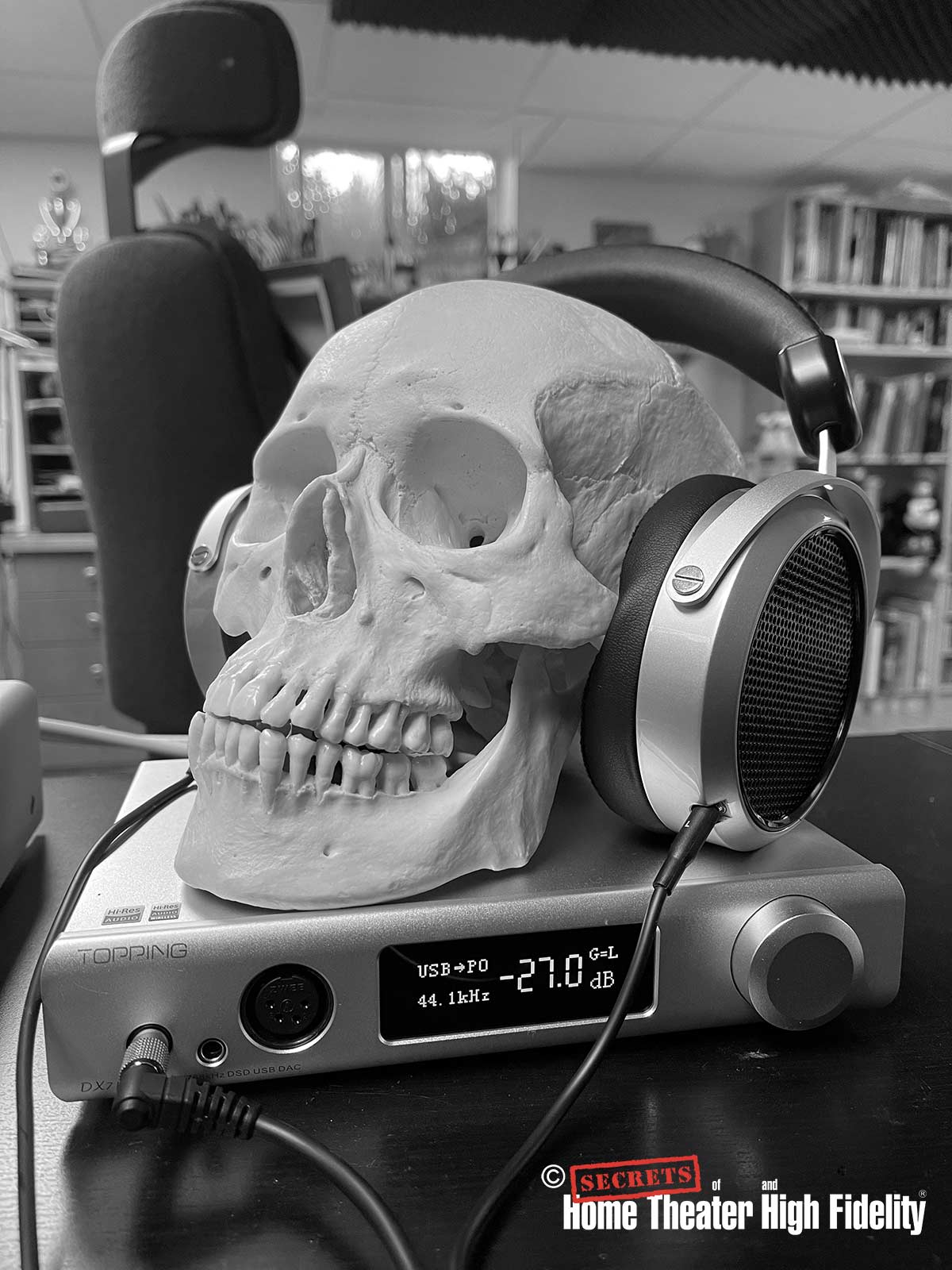 HIFIMAN HE400se Planar Magnetic Headphones on a skull