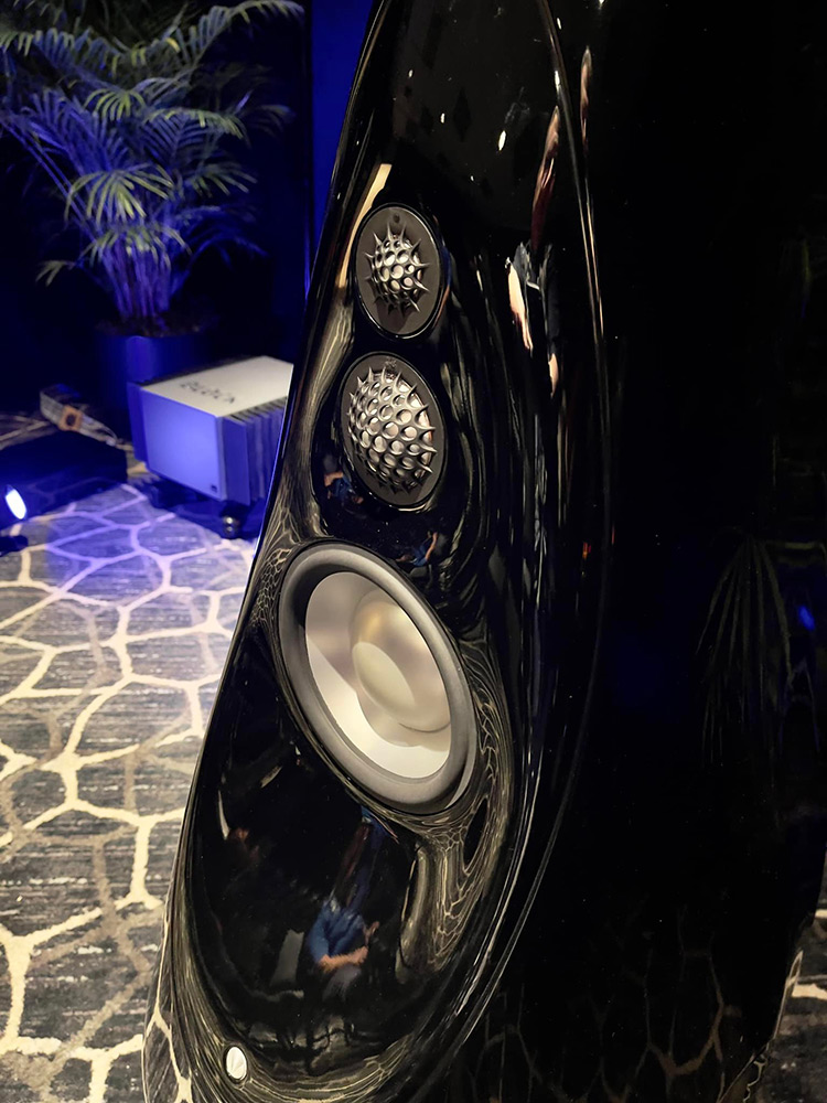 Photograph of a loudspeaker's exterior components in the Suncoast Audio room area at Florida Audio Expo 2022