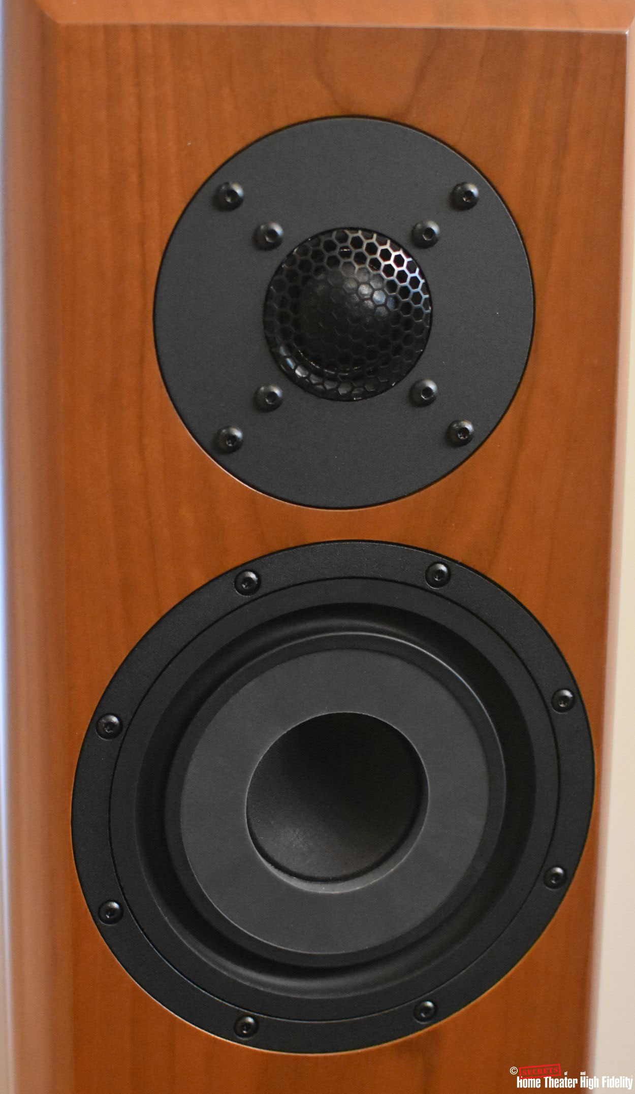 Vienna Acoustics Beethoven Baby Grand Reference tweeter and midrange drivers